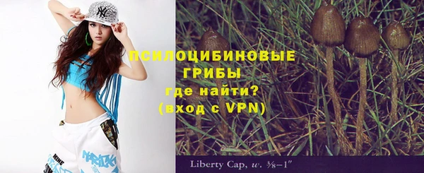 стаф Алексеевка
