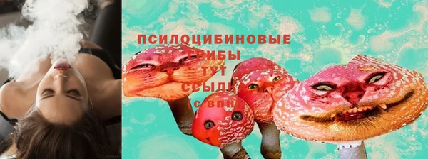 стаф Алексеевка