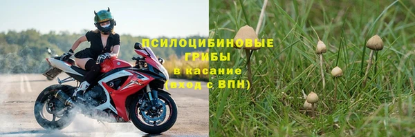 стаф Алексеевка